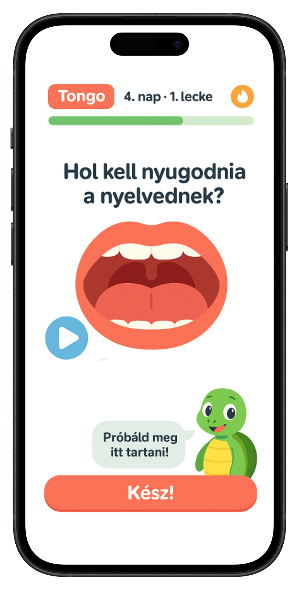 Tongo Alkalmazás Felület